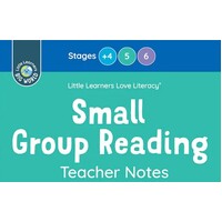 Big World Non-fiction Reading Notes - Stages Plus 4-6